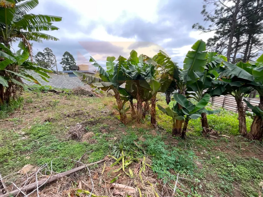 Terreno / Lote à venda, 2743m2 em Jardim das Cerejeiras, Aruja - SP - imagem 6 Foto 6 de Terreno / Lote à venda, 2743m2 em Jardim das Cerejeiras, Aruja - SP