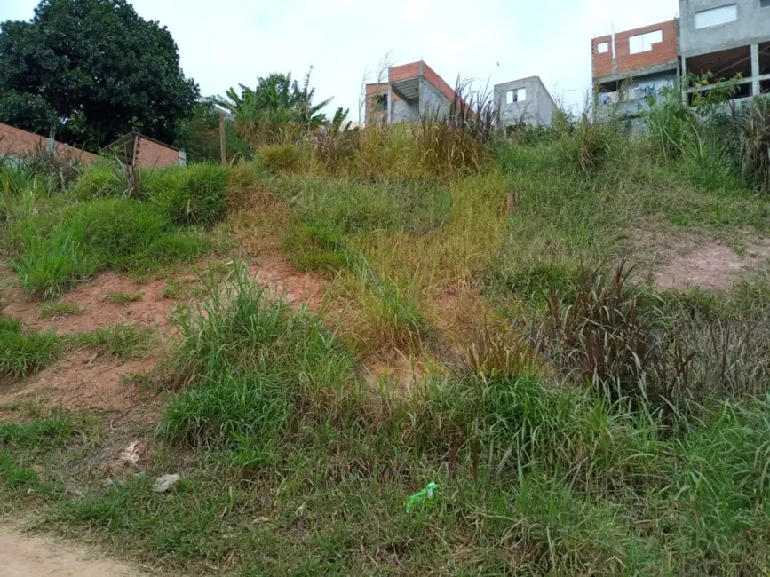 Foto 1 de Terreno / Lote à venda, 250m2 em Aruja - SP