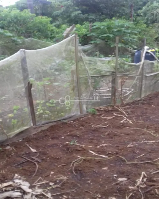 Terreno / Lote à venda, 1000m2 em Batistini, Sao Bernardo Do Campo - SP - imagem 6 Foto 6 de Terreno / Lote à venda, 1000m2 em Batistini, Sao Bernardo Do Campo - SP