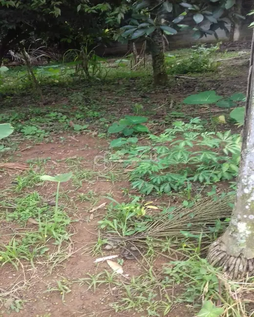 Terreno / Lote à venda, 1000m2 em Batistini, Sao Bernardo Do Campo - SP - imagem 9 Foto 9 de Terreno / Lote à venda, 1000m2 em Batistini, Sao Bernardo Do Campo - SP