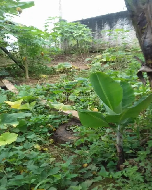 Foto 2 de Terreno / Lote à venda, 1000m2 em Batistini, Sao Bernardo Do Campo - SP