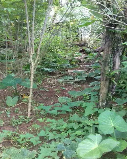 Terreno / Lote à venda, 1000m2 em Batistini, Sao Bernardo Do Campo - SP - imagem 8 Foto 8 de Terreno / Lote à venda, 1000m2 em Batistini, Sao Bernardo Do Campo - SP