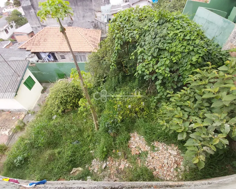 Foto 5 de Terreno / Lote à venda, 446m2 em Baeta Neves, Sao Bernardo Do Campo - SP