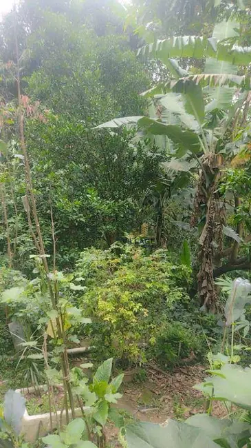 Casa com 7 quartos à venda, 277m2 em Conjunto Habitacional Turística, São Paulo - SP - imagem 3 Foto 3 de Casa com 7 quartos à venda, 277m2 em Conjunto Habitacional Turística, São Paulo - SP