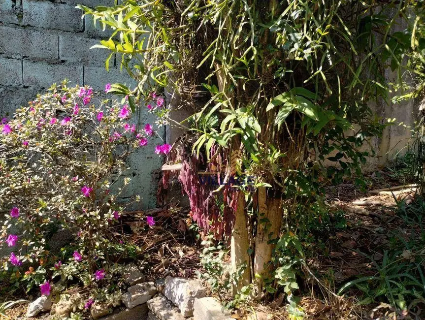 Casa com 3 quartos à venda, 336m2 em Pestana, Osasco - SP - imagem 7 Foto 7 de Casa com 3 quartos à venda, 336m2 em Pestana, Osasco - SP