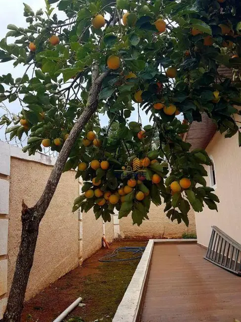 Foto 7 de Chácara com 3 quartos à venda, 1000m2 em Chácaras Nova Germânia, Campo Limpo Paulista - SP