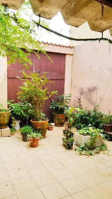 Foto 6 de Casa com 2 quartos à venda, 238m2 em Brasilândia, São Paulo - SP