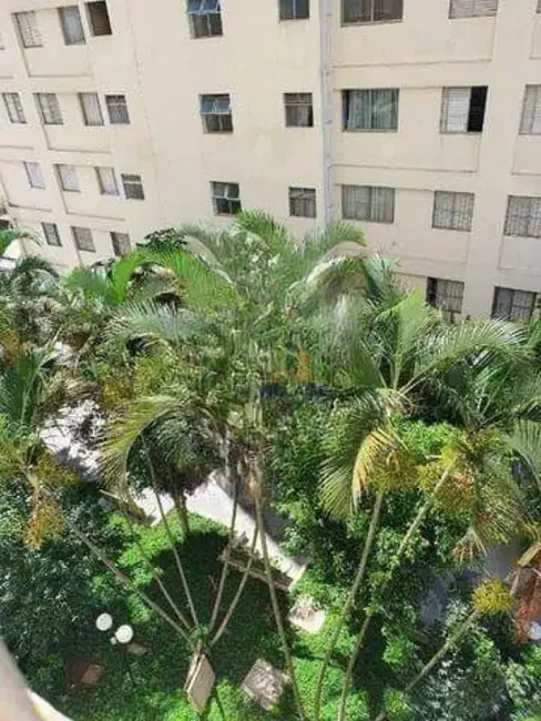 Foto 8 de Apartamento com 2 quartos à venda, 52m2 em Vila Jaraguá, São Paulo - SP