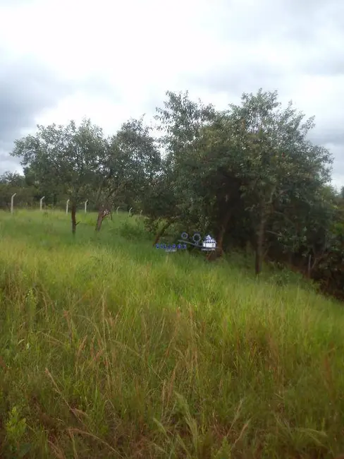 Foto 3 de Sala Comercial à venda, 4156m2 em Ipês (Polvilho), Cajamar - SP