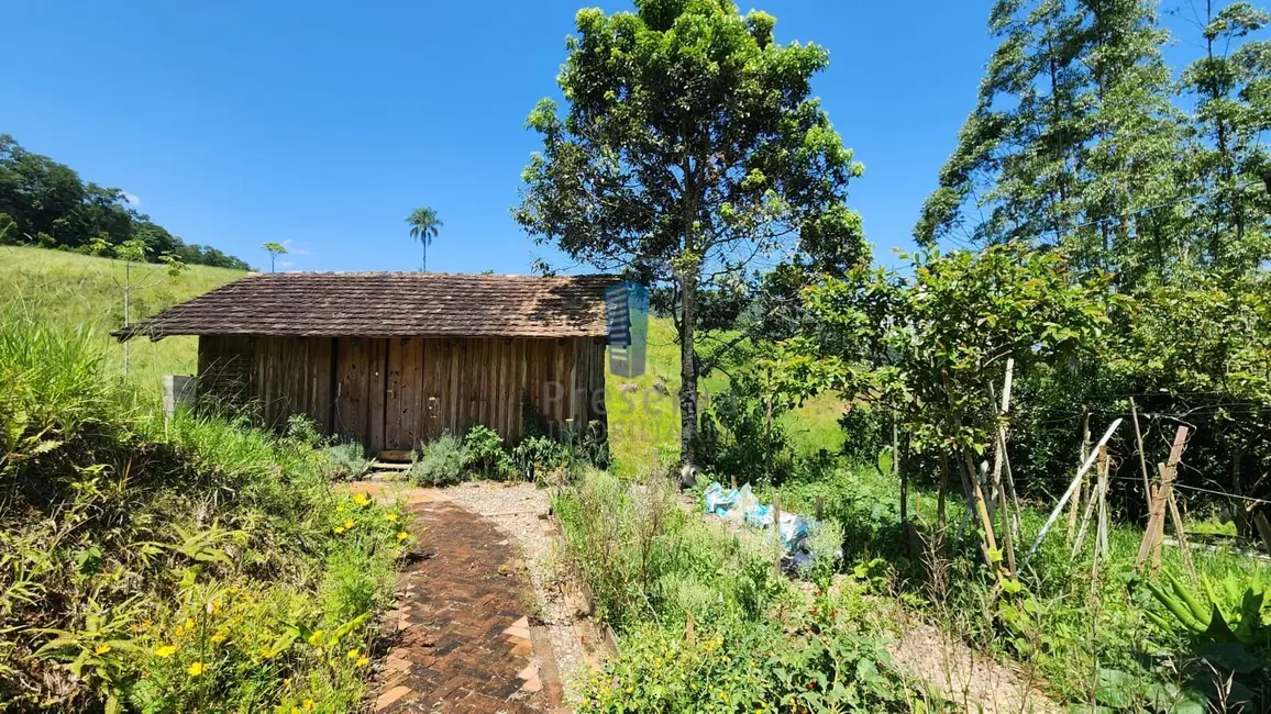 Chácara com 2 quartos à venda, 100000m2 em Centro, Rodeio - SC - imagem 8 Foto 8 de Chácara com 2 quartos à venda, 100000m2 em Centro, Rodeio - SC