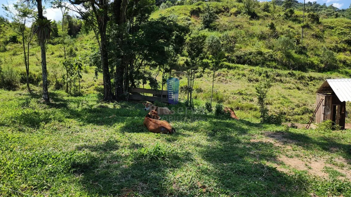 Chácara com 2 quartos à venda, 100000m2 em Centro, Rodeio - SC - imagem 3 Foto 3 de Chácara com 2 quartos à venda, 100000m2 em Centro, Rodeio - SC