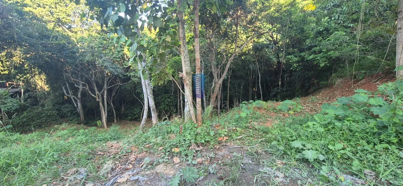 Terreno / Lote à venda, 486m2 em Cabeçudas, Itajai - SC - imagem 3 Foto 3 de Terreno / Lote à venda, 486m2 em Cabeçudas, Itajai - SC