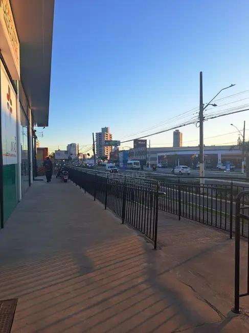 Foto 2 de Sala Comercial para alugar, 42m2 em Centro, Itajai - SC