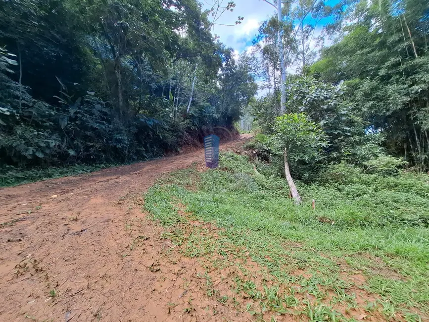 Foto 4 de Terreno / Lote à venda, 11500m2 em Brilhante II, Itajai - SC