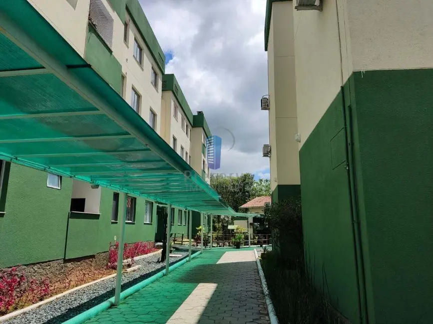 Apartamento com 1 quarto à venda, 33m2 em Espinheiros, Itajai - SC - imagem 7 Foto 7 de Apartamento com 1 quarto à venda, 33m2 em Espinheiros, Itajai - SC