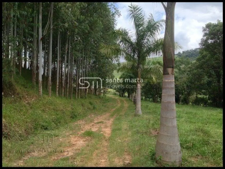 Foto 3 de Fazenda / Haras à venda em Santa Lucrécia, Lorena - SP