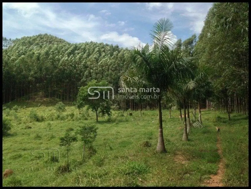 Foto 5 de Fazenda / Haras à venda em Santa Lucrécia, Lorena - SP