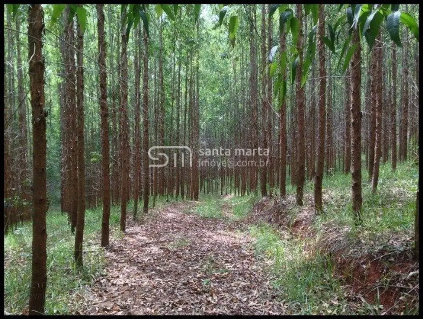 Fazenda / Haras à venda em Santa Lucrécia, Lorena - SP - imagem 4 Foto 4 de Fazenda / Haras à venda em Santa Lucrécia, Lorena - SP