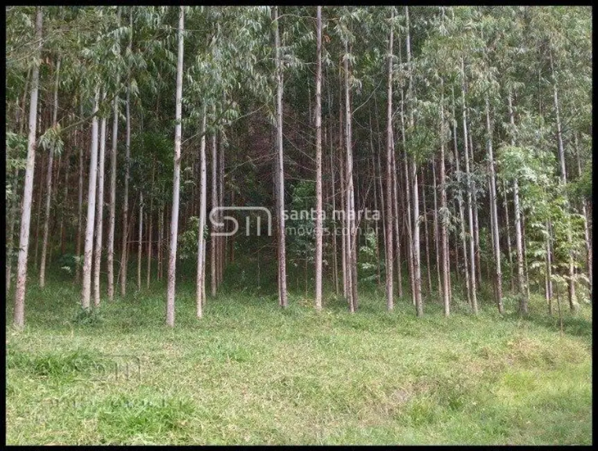 Foto 9 de Fazenda / Haras à venda em Santa Lucrécia, Lorena - SP