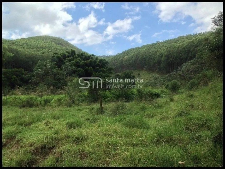 Foto 7 de Fazenda / Haras à venda em Santa Lucrécia, Lorena - SP