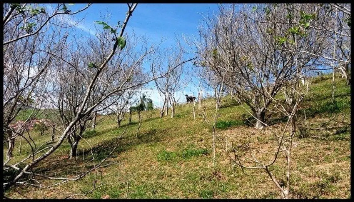 Fazenda / Haras com 2 quartos à venda, 300m2 em Piquete - SP - imagem 9 Foto 9 de Fazenda / Haras com 2 quartos à venda, 300m2 em Piquete - SP