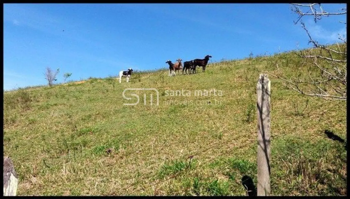 Fazenda / Haras com 2 quartos à venda, 300m2 em Piquete - SP - imagem 7 Foto 7 de Fazenda / Haras com 2 quartos à venda, 300m2 em Piquete - SP