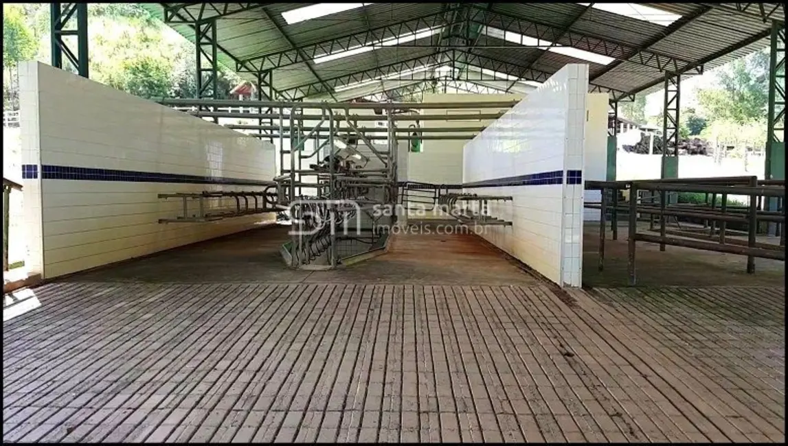 Foto 1 de Fazenda / Haras com 5 quartos à venda, 300m2 em Cunha - SP