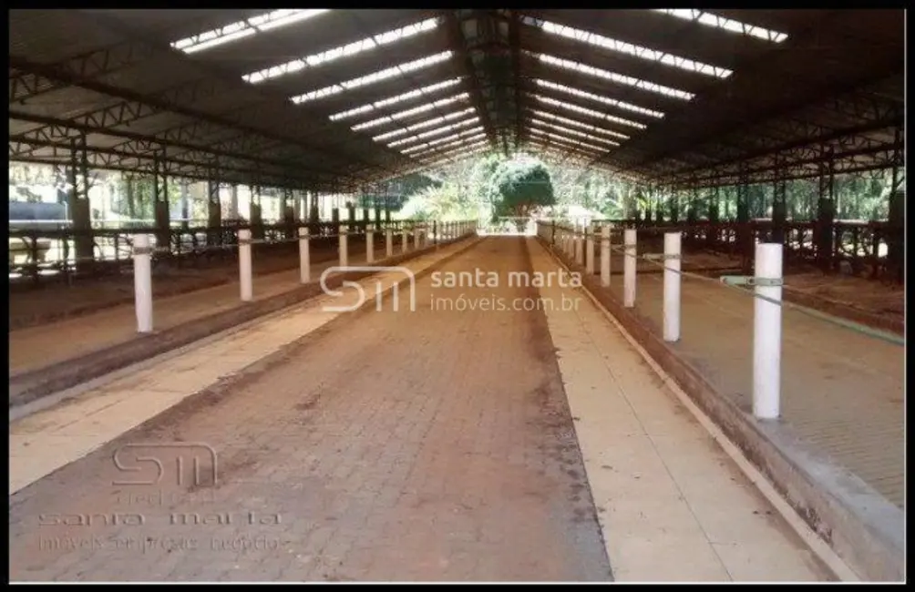 Foto 2 de Fazenda / Haras com 5 quartos à venda, 300m2 em Cunha - SP