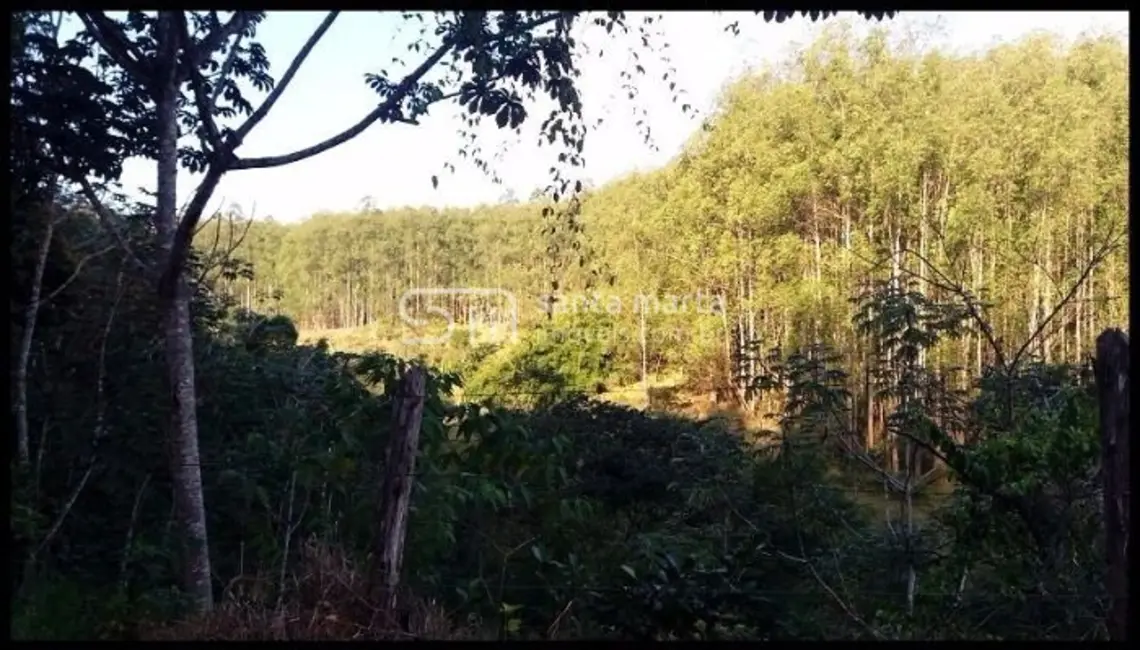 Foto 2 de Fazenda / Haras à venda, 300m2 em Lavrinhas - SP