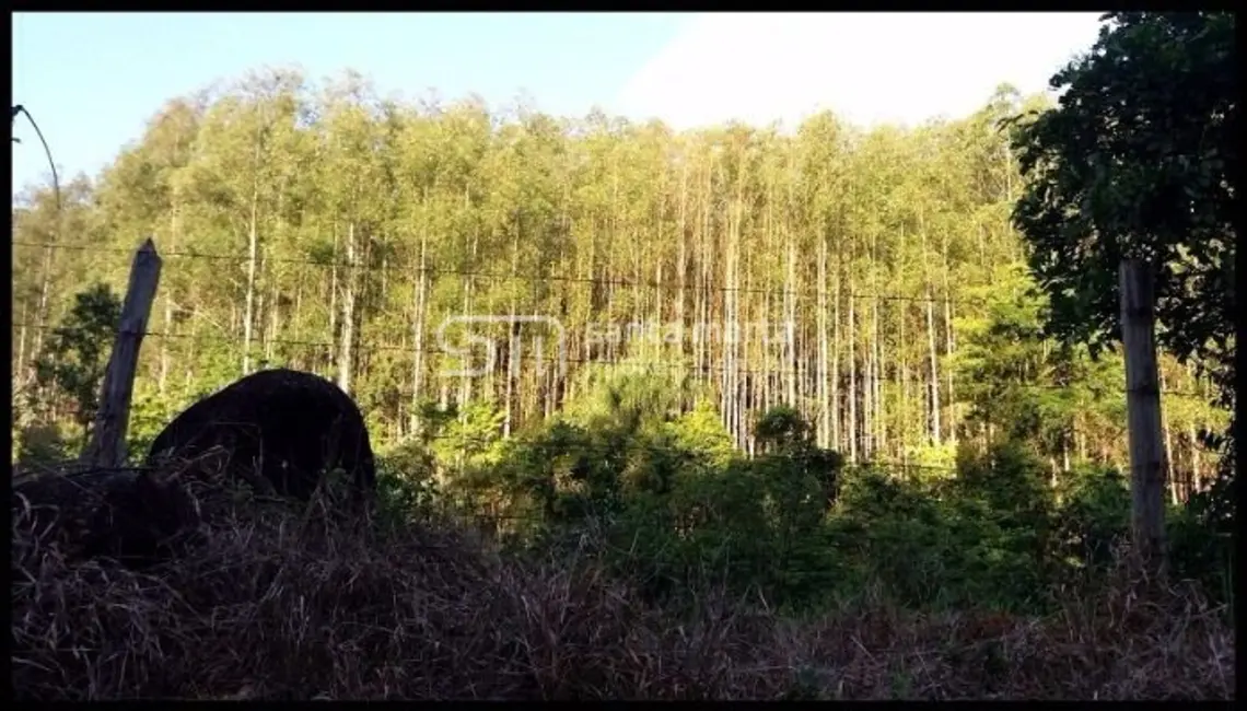 Foto 1 de Fazenda / Haras à venda, 300m2 em Lavrinhas - SP