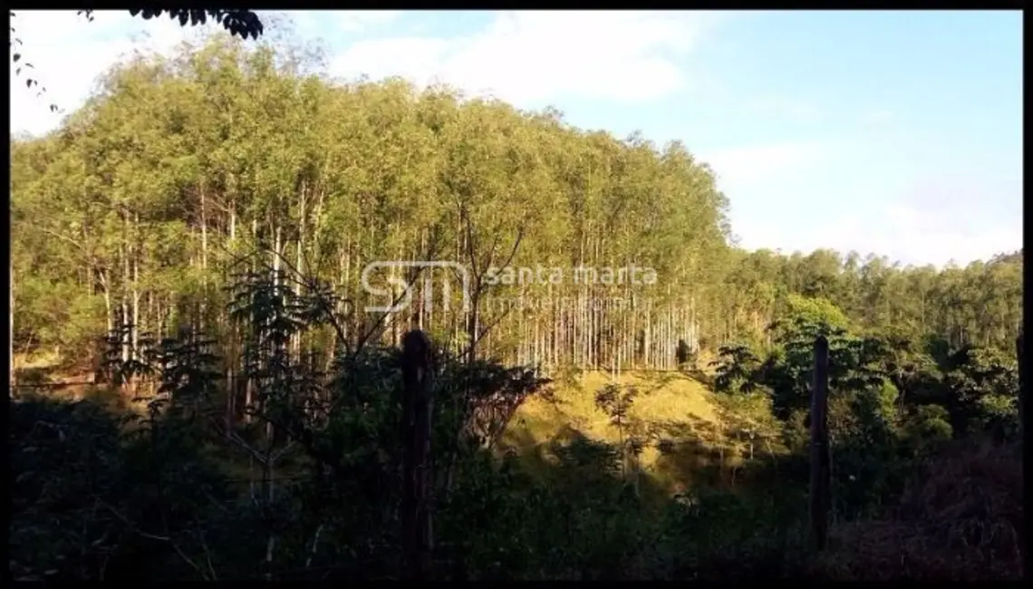 Foto 3 de Fazenda / Haras à venda, 300m2 em Lavrinhas - SP