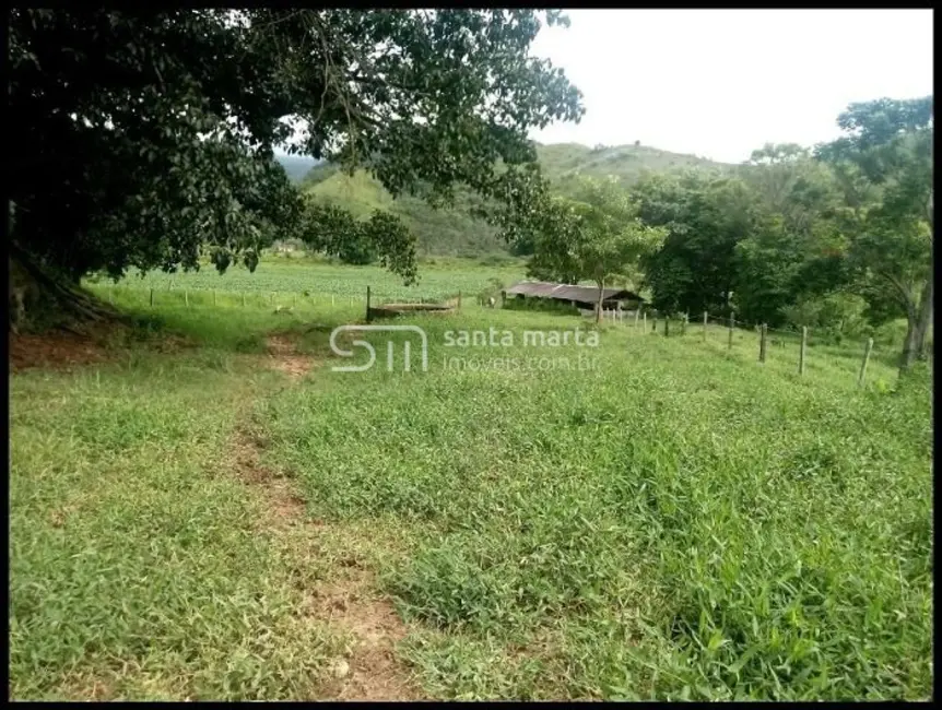 Fazenda / Haras à venda, 300m2 em Cruzeiro - SP - imagem 6 Foto 6 de Fazenda / Haras à venda, 300m2 em Cruzeiro - SP