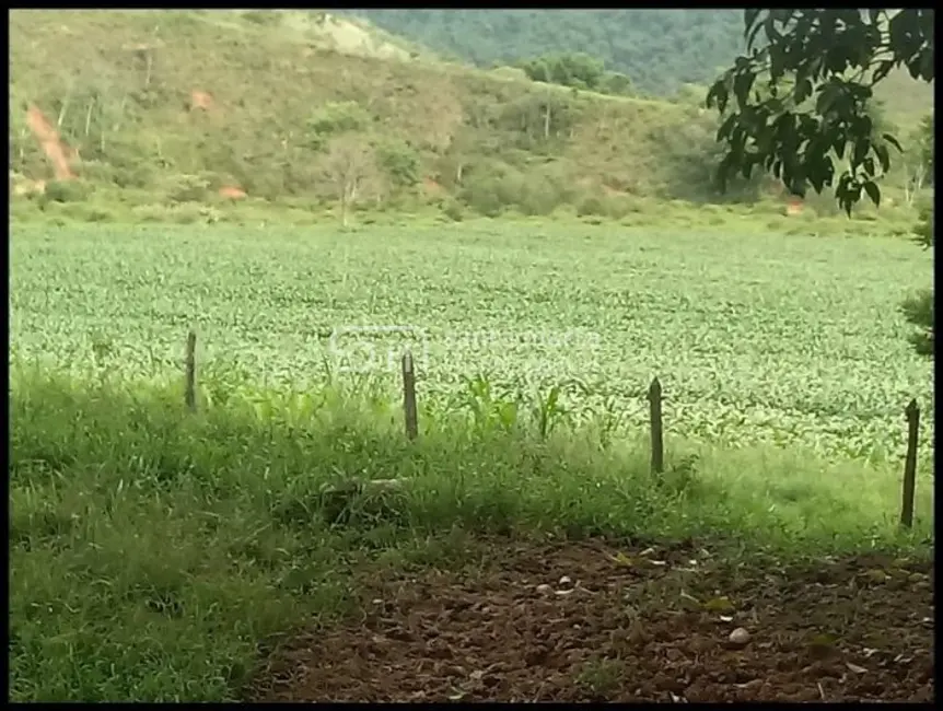 Fazenda / Haras à venda, 300m2 em Cruzeiro - SP - imagem 9 Foto 9 de Fazenda / Haras à venda, 300m2 em Cruzeiro - SP