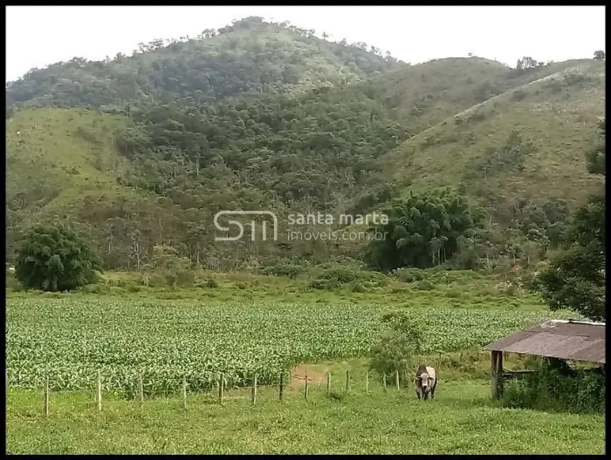 Fazenda / Haras à venda, 300m2 em Cruzeiro - SP - imagem 8 Foto 8 de Fazenda / Haras à venda, 300m2 em Cruzeiro - SP