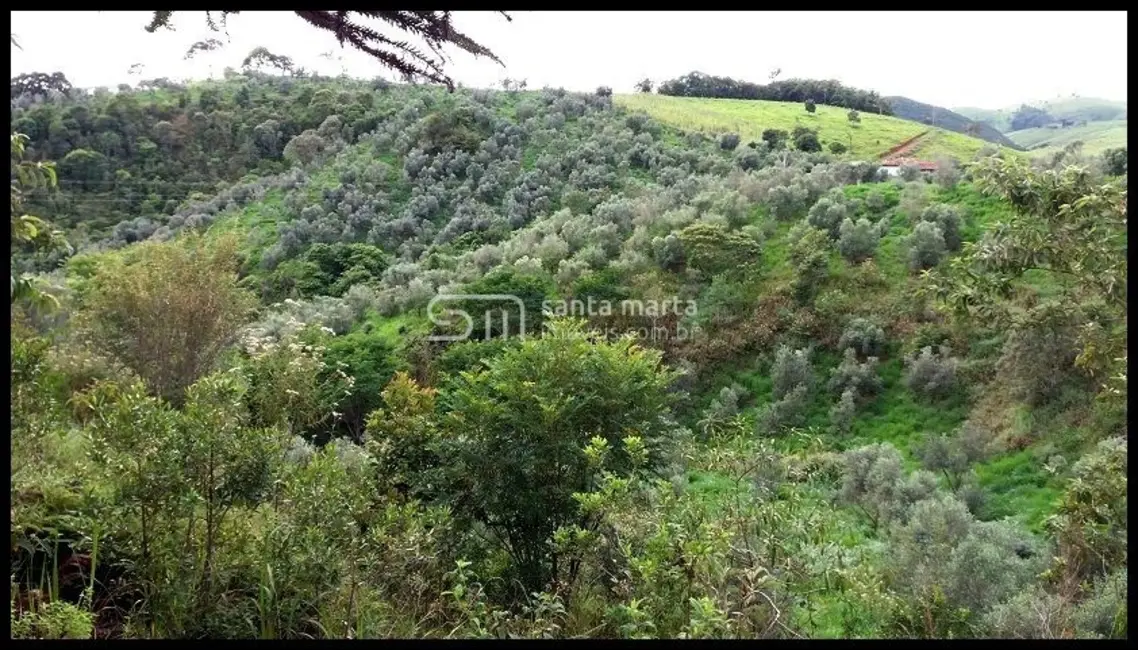 Foto 4 de Fazenda / Haras à venda, 300m2 em Lorena - SP