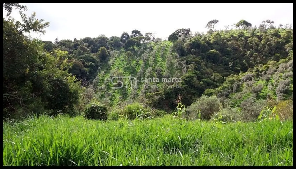 Foto 9 de Fazenda / Haras à venda, 300m2 em Lorena - SP
