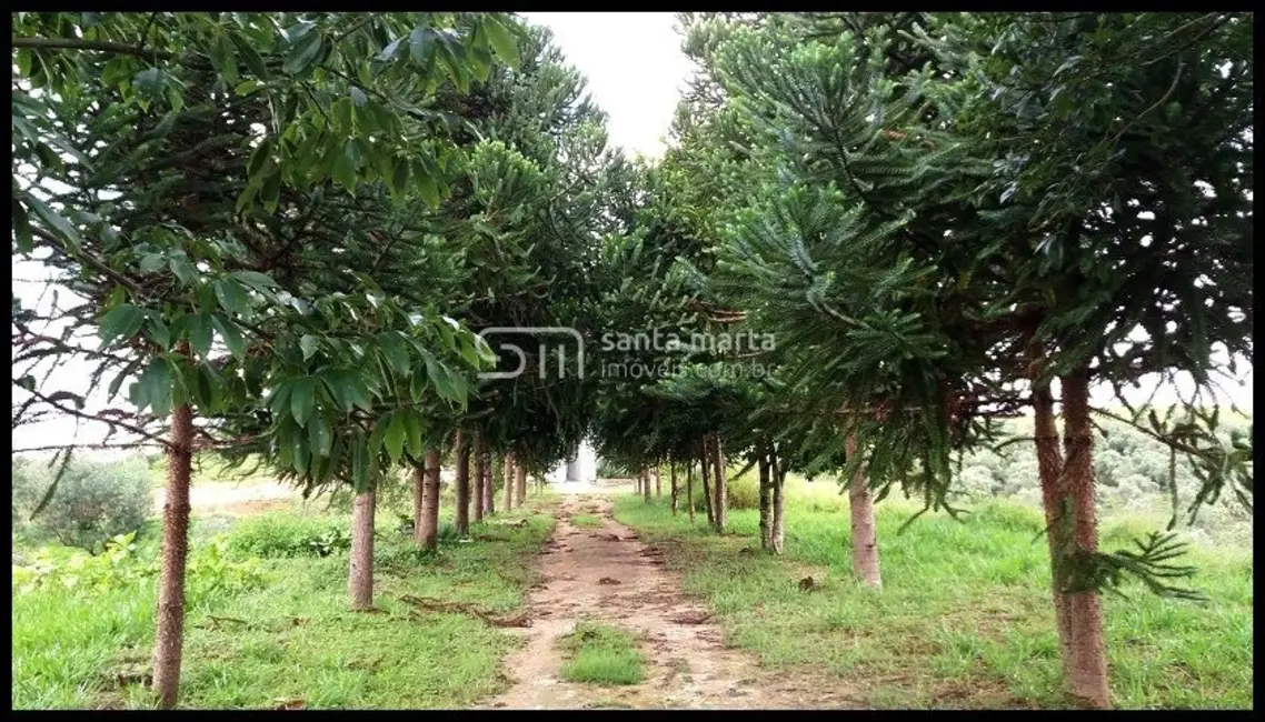 Foto 5 de Fazenda / Haras à venda, 300m2 em Lorena - SP