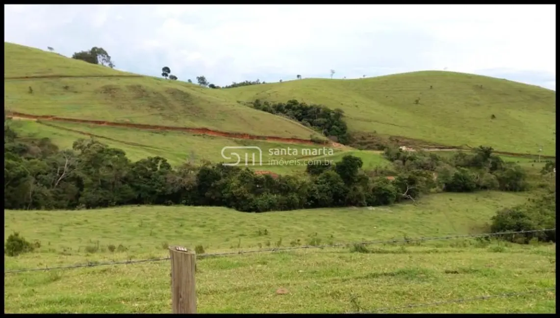 Foto 5 de Fazenda / Haras com 5 quartos à venda, 300m2 em Silveiras - SP