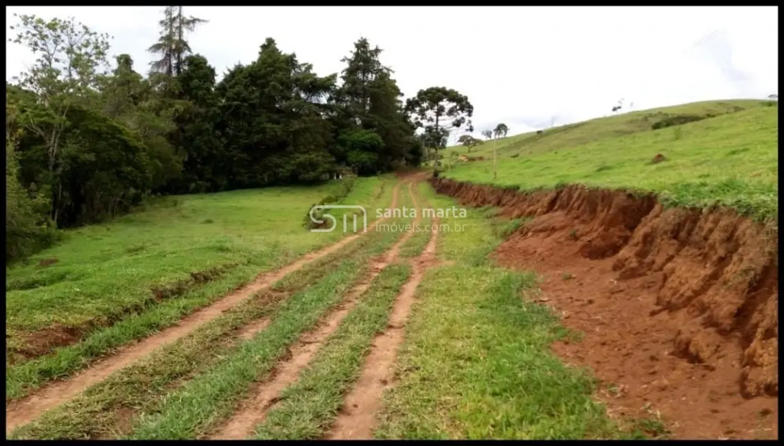 Foto 7 de Fazenda / Haras com 5 quartos à venda, 300m2 em Silveiras - SP