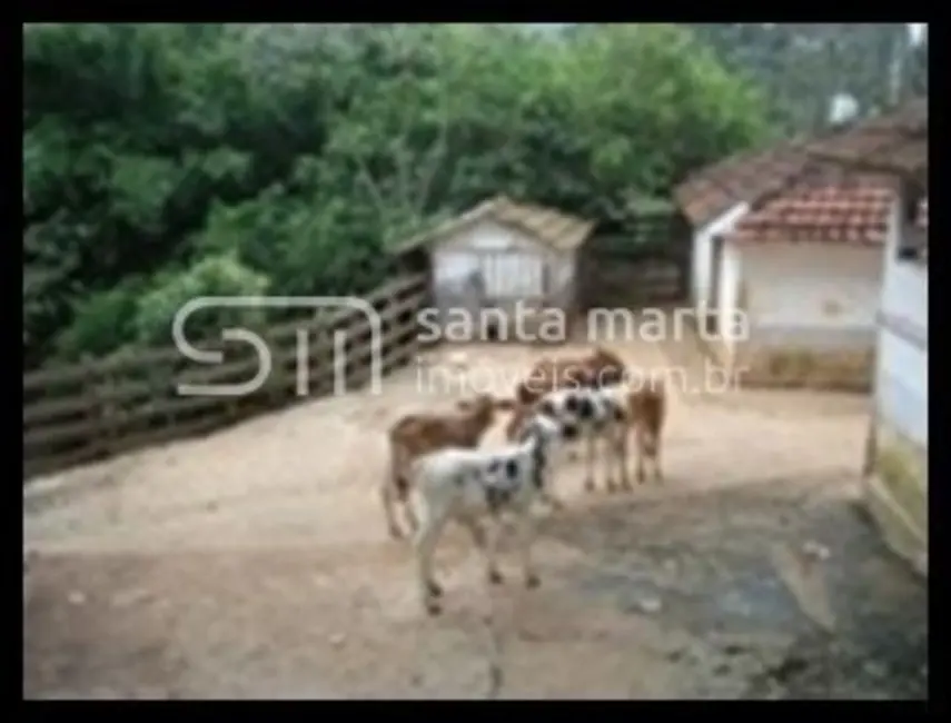 Fazenda / Haras com 3 quartos à venda, 300m2 em Piquete - SP - imagem 9 Foto 9 de Fazenda / Haras com 3 quartos à venda, 300m2 em Piquete - SP