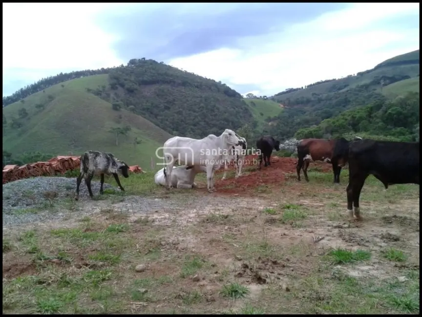 Foto 8 de Fazenda / Haras com 2 quartos à venda, 24m2 em Silveiras - SP