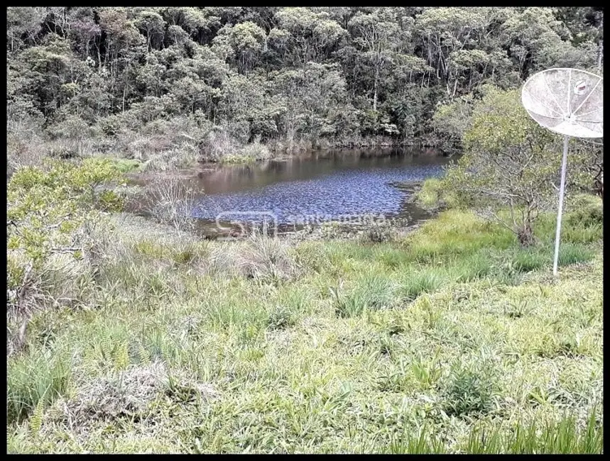 Fazenda / Haras com 3 quartos à venda, 24m2 em Bananal - SP - imagem 6 Foto 6 de Fazenda / Haras com 3 quartos à venda, 24m2 em Bananal - SP