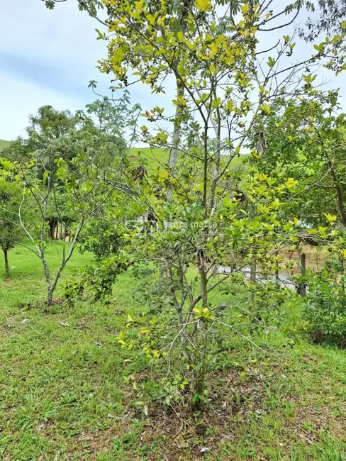 Foto 6 de Fazenda / Haras com 2 quartos à venda, 24m2 em Guaratingueta - SP