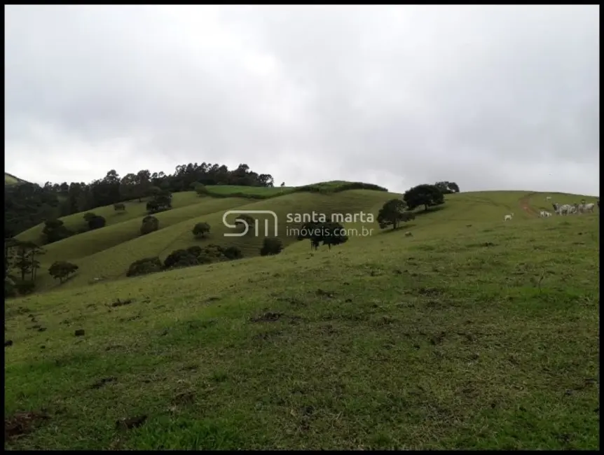 Foto 8 de Fazenda / Haras com 3 quartos à venda, 24m2 em Guaratingueta - SP