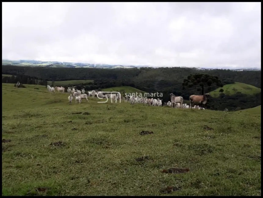 Foto 1 de Fazenda / Haras com 3 quartos à venda, 24m2 em Guaratingueta - SP