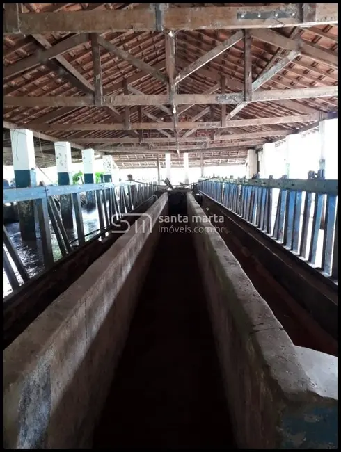 Foto 6 de Fazenda / Haras com 3 quartos à venda, 24m2 em Guaratingueta - SP