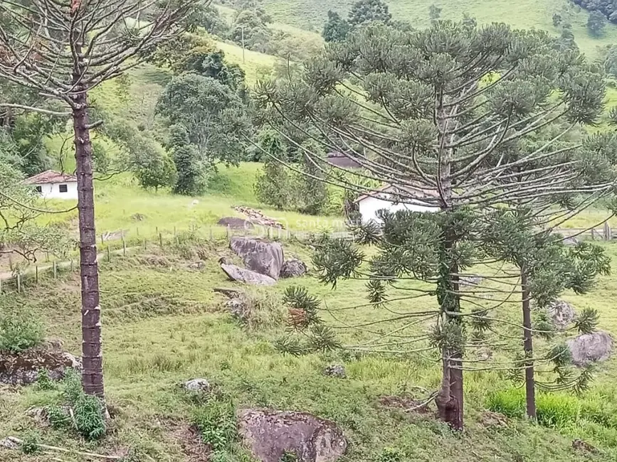 Fazenda / Haras com 2 quartos à venda, 24m2 em Silveiras - SP - imagem 8 Foto 8 de Fazenda / Haras com 2 quartos à venda, 24m2 em Silveiras - SP