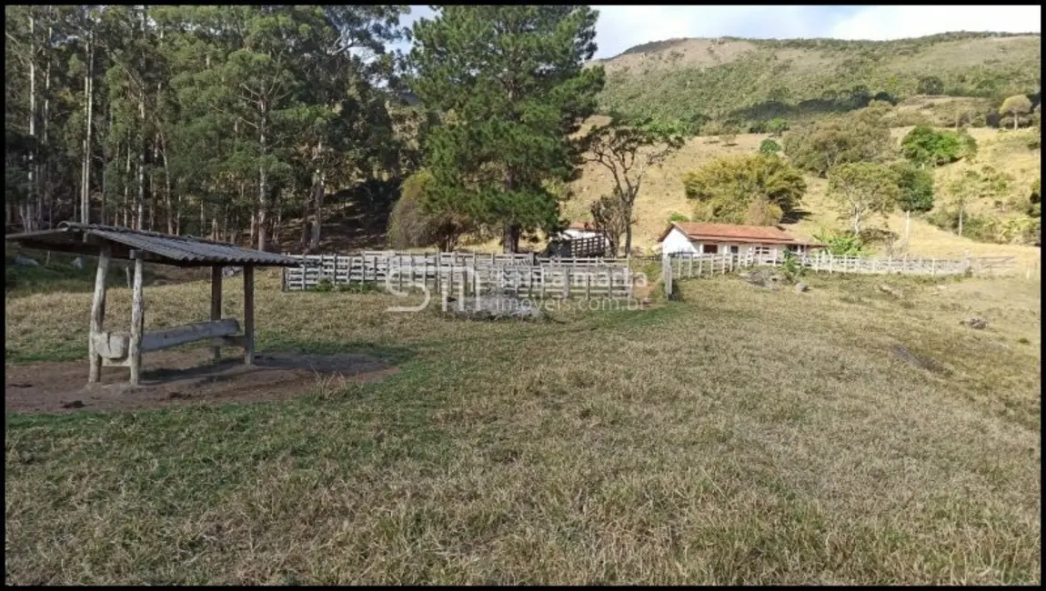 Fazenda / Haras com 2 quartos à venda, 24m2 em Silveiras - SP - imagem 4 Foto 4 de Fazenda / Haras com 2 quartos à venda, 24m2 em Silveiras - SP