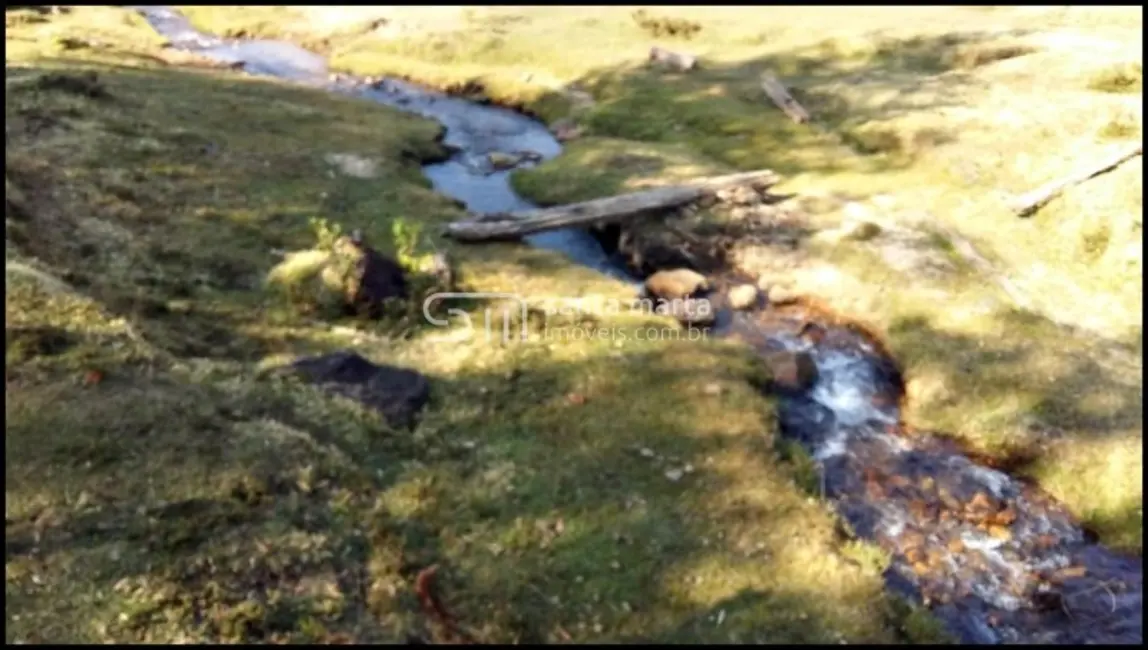 Foto 9 de Fazenda / Haras com 4 quartos à venda, 24m2 em Delfim Moreira - MG