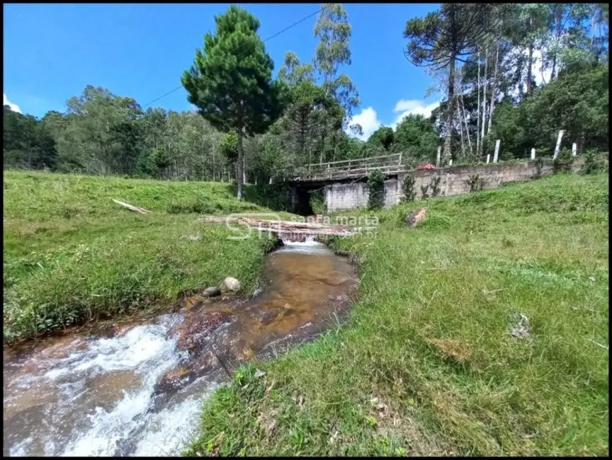 Foto 1 de Fazenda / Haras com 4 quartos à venda, 24m2 em Delfim Moreira - MG